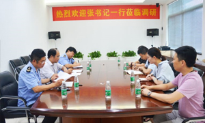 熱烈歡迎張書記一行蒞臨居然之家安徽分公司合肥長江東路店調(diào)研指導(dǎo)！